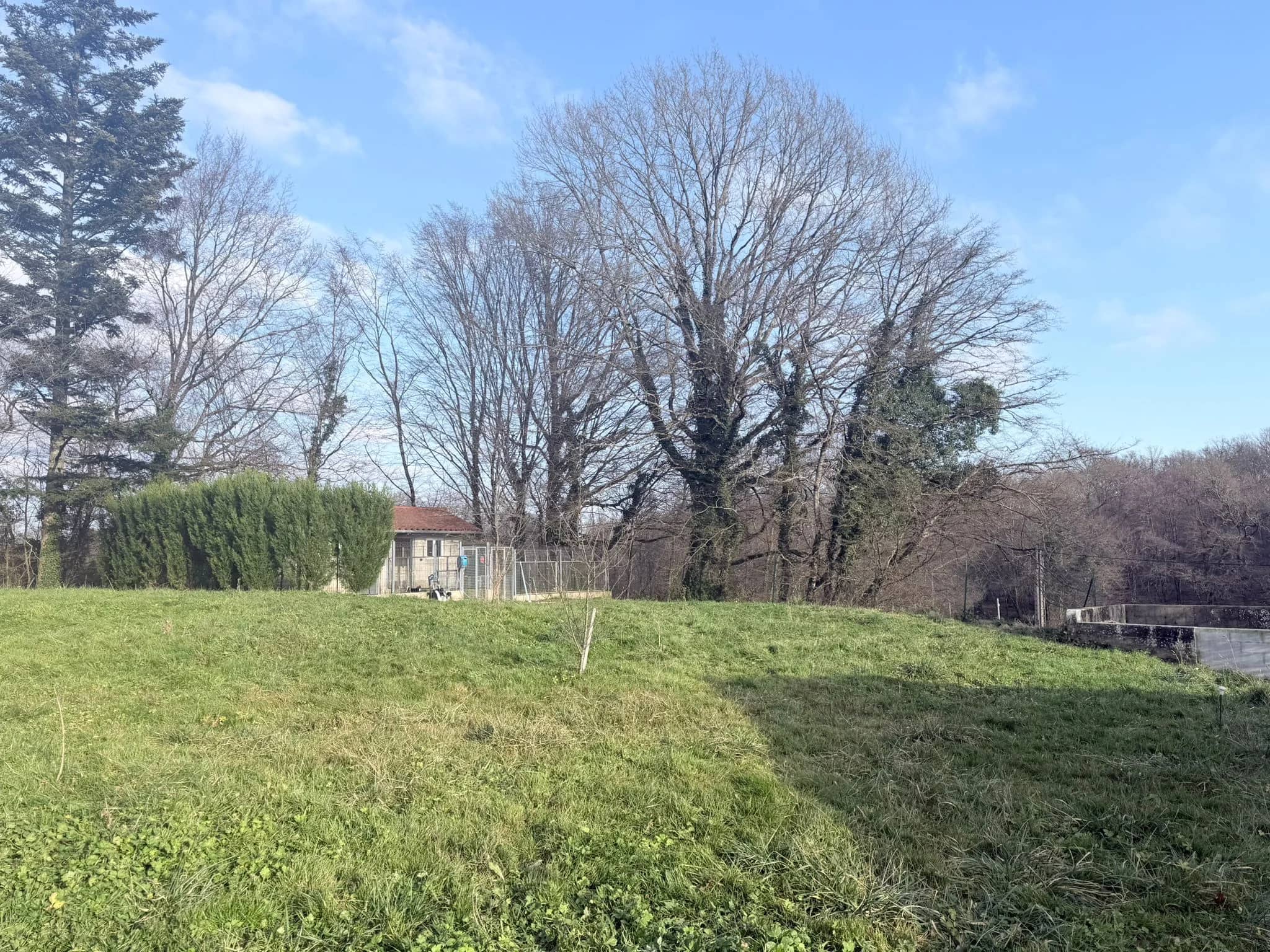 Image d un des espaces de vie des chiens de l elevage