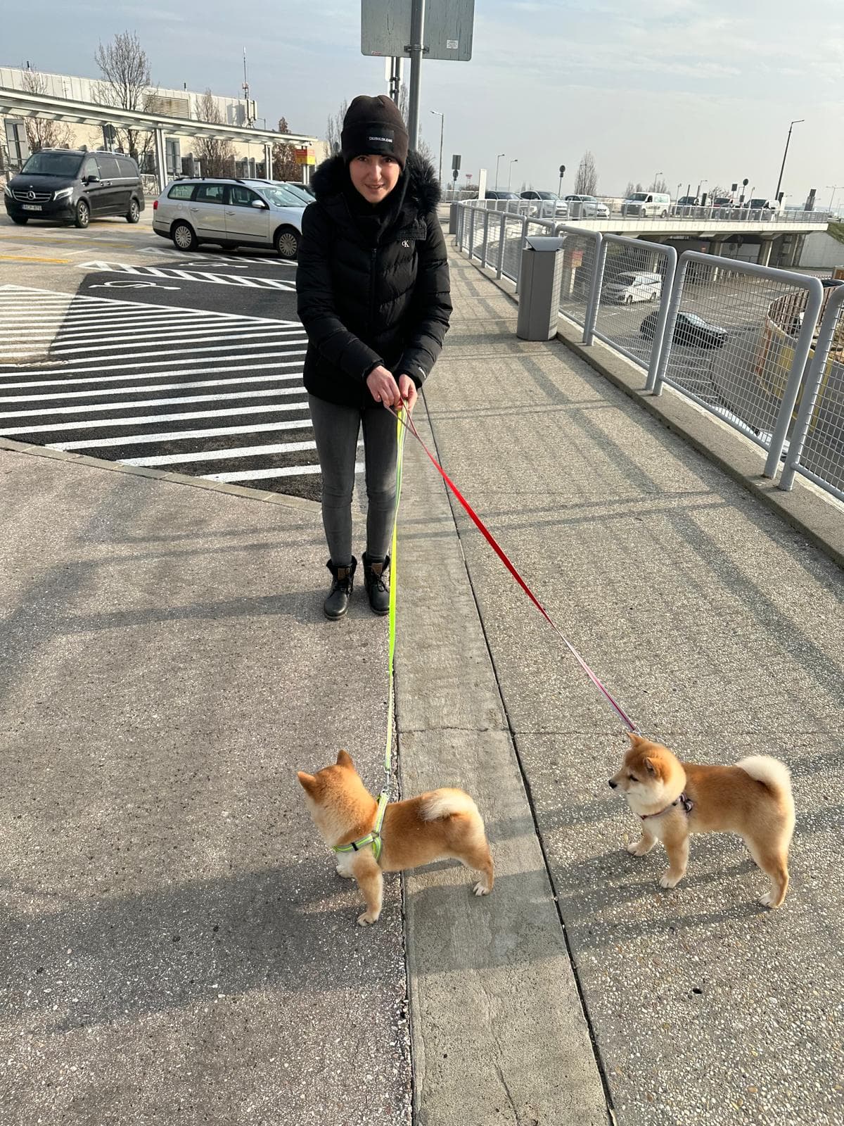 Interaction en extérieur entre l'éleveuse et un Mameshiba