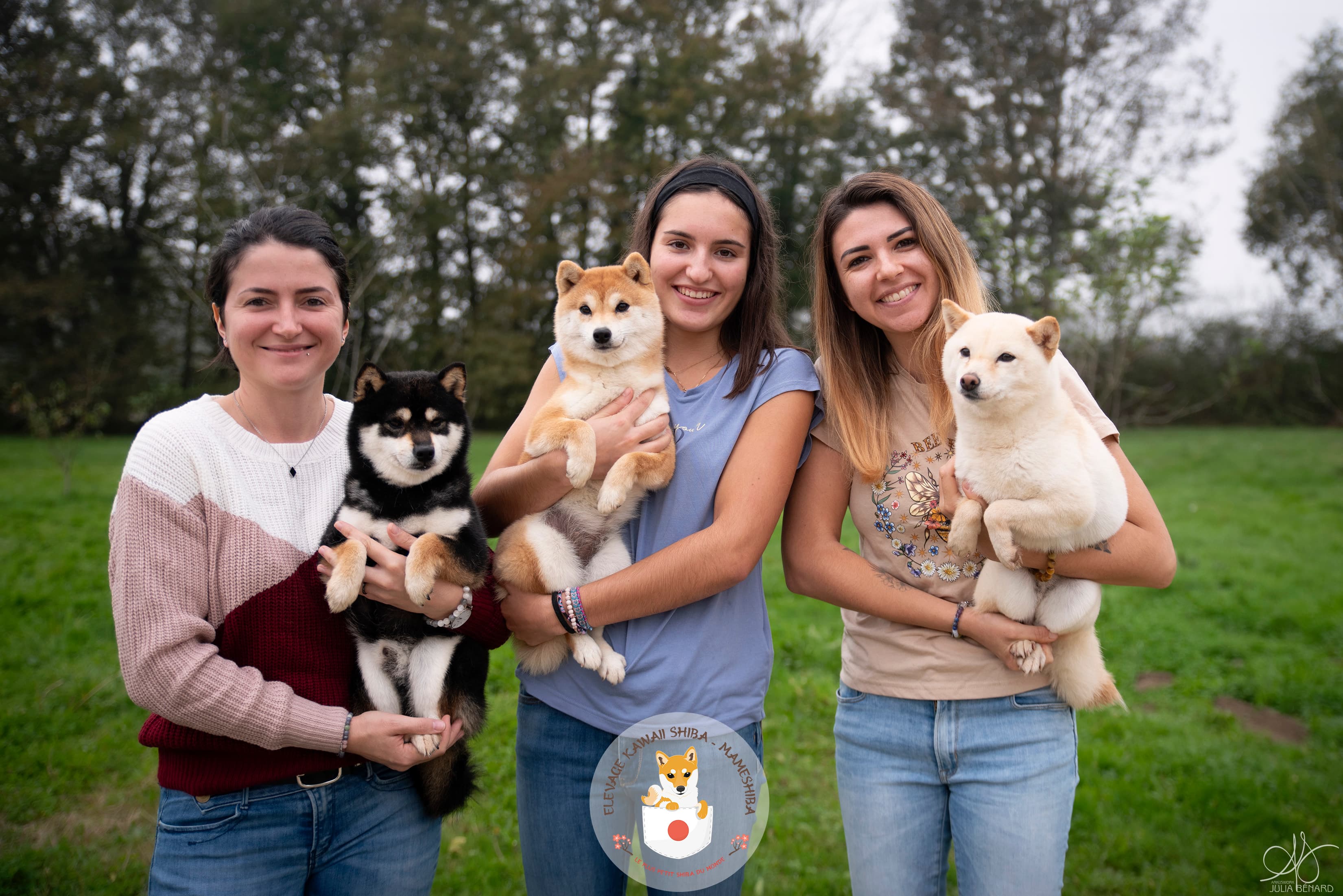 Mameshiba roux et blanc assis dans un jardin