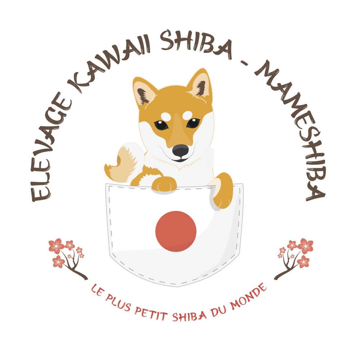 Ã©levage de chiens Shiba Inu - MAMESHIBA
